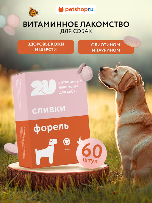 Витаминное лакомство для собак "для красивой кожи и шерсти", 60таб 23тп67