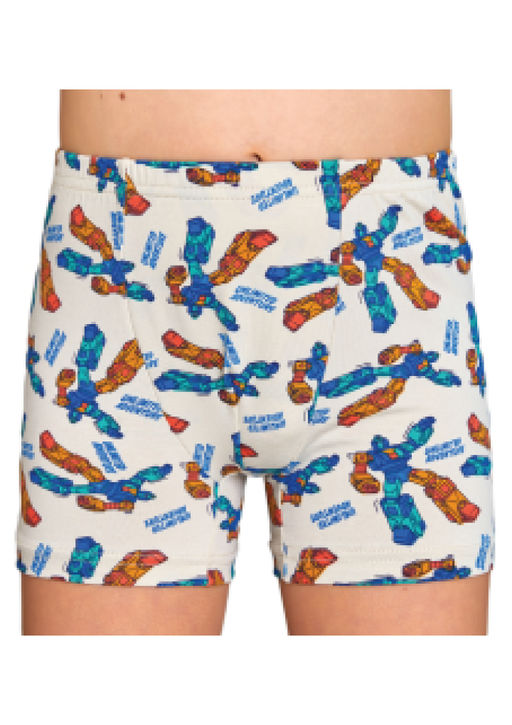 Трусы для мальчика Berrak 5058