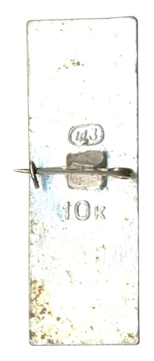 Значок Бородино