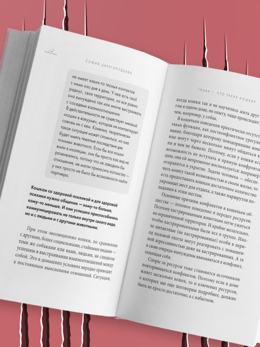 Кошачий закон и порядок. Как найти общий язык с кошкой и не стать жертвой ее капризов