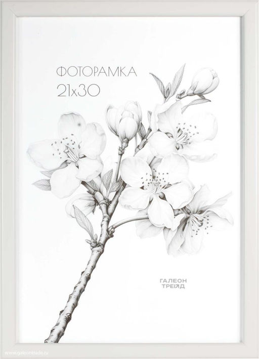 Фоторамка 21x30 / 1503-015 /уп10,ф - Галеонтрейд фото 4