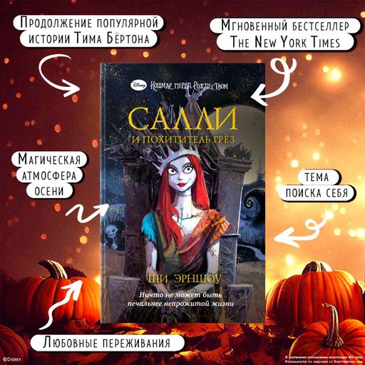 Кошмар перед Рождеством. Салли и похититель грёз