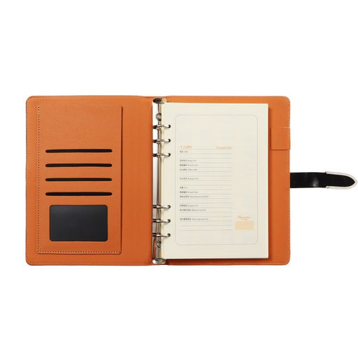 Органайзер на кольцах А5, 90 листов в линейку, с хлястиком, МИКС - Calligrata фото 33