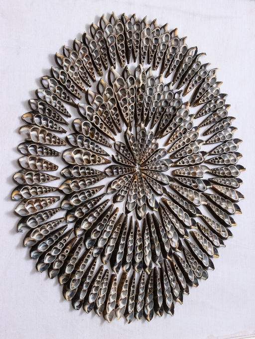 Панно «Композиция из ракушек», 45×3×45 см