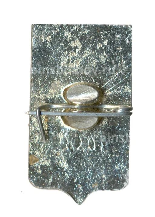 Значок Ростов