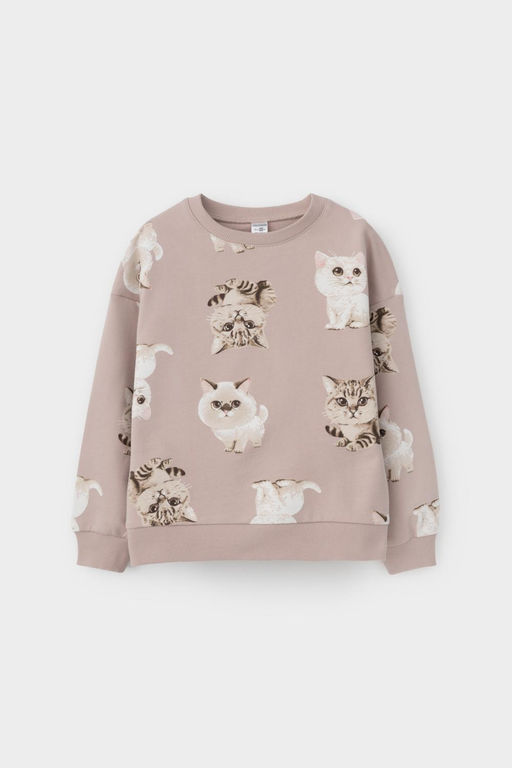 КР 302606/кофейный,милые кошечки к511 джемпер для дев - Crockid фото 2