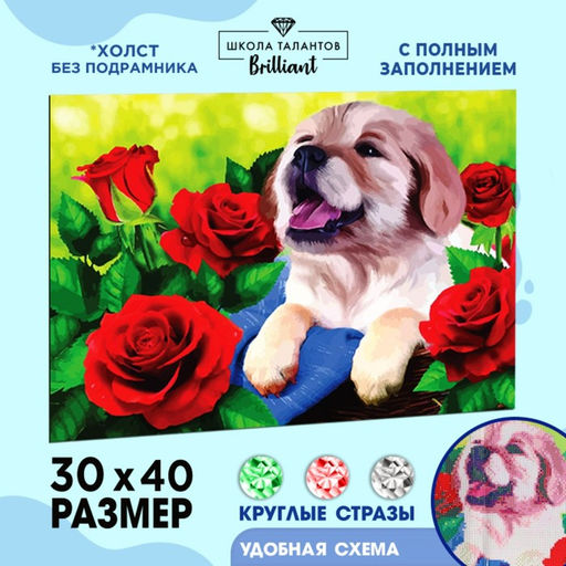 Алмазная мозаика с полным заполнением на холсте «Щенок», 30×40 см