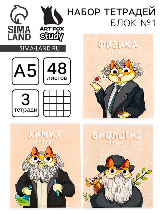 Тетради предметные, 48 л., А5, набор из 3 шт. КОТэ