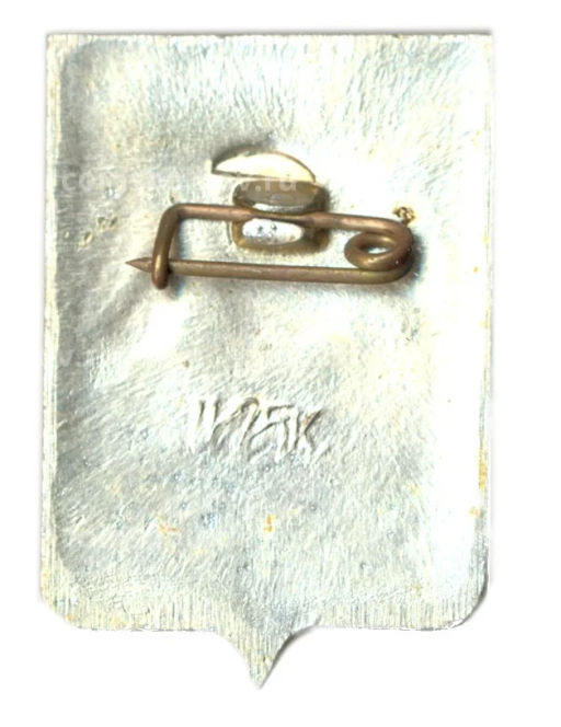 Значок Старая Русса