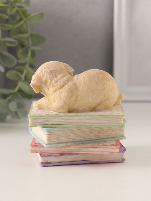 Фигурка полистоун «Щенок спит на книгах», 9×7×8.5 см