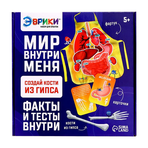 Набор для опытов Мир внутри меня - Эврики фото 10