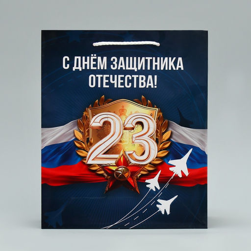 Цена за 2 шт. Пакет подарочный ламинированный, упаковка, «С 23 февраля», ML 21×25×8 см
