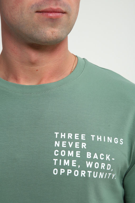 Футболка мужская 052