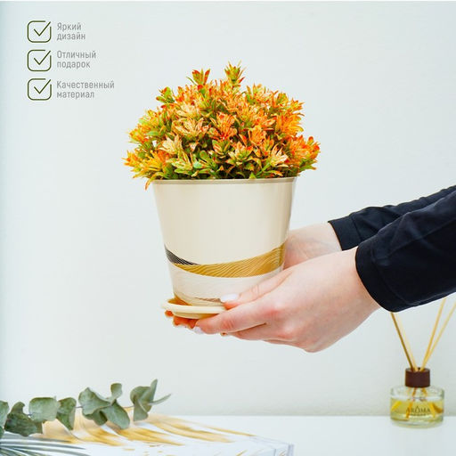 Цена за 2 шт. Горшок для цветов Доляна «Каракум», 800 мл, цвет бежевый