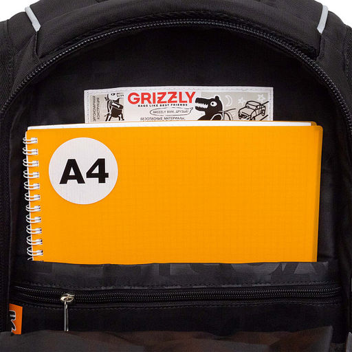 RU-638-3 Рюкзак - Grizzly фото 49