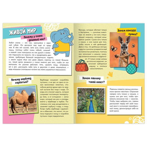 Книга обучающая Как, зачем, почему? Живой мир, 20 стр. - Буква-ленд фото 2