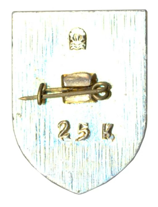 Значок Усолье-Сибирское