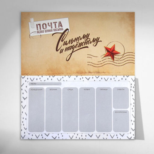 Подарочный набор С 23 февраля, планинг с отрывными листами и ручка шариковая - Artfox фото 5