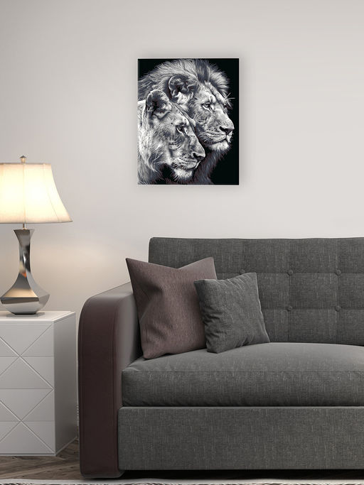 ФРЕЯ PNB/PL-367 Набор для раскрашивания по номерам 50 х 40 см Черно-белые львы