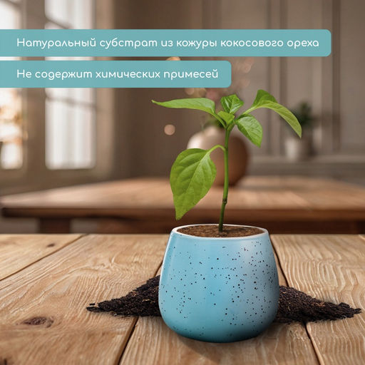 Таблетки кокосовые, для рассады, d=6 см, набор 5 шт., без оболочки, Greengo  фото 2