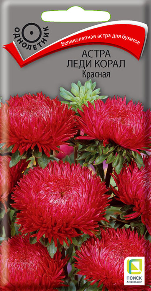 Астра (однолетняя) Леди Корал Красная (ЦВ) ("1) 0,1гр.