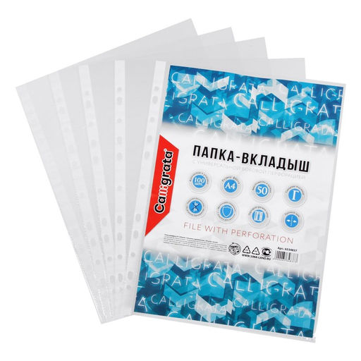 Файл-вкладыш А4, Calligrata, глянцевый, вертикальный, 100 штук, эконом  фото 2