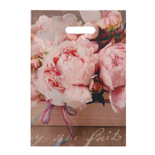 Цена за 50 шт. Пакет «Бенефис», полиэтиленовый с вырубной ручкой 29×40 см, 35 мкм