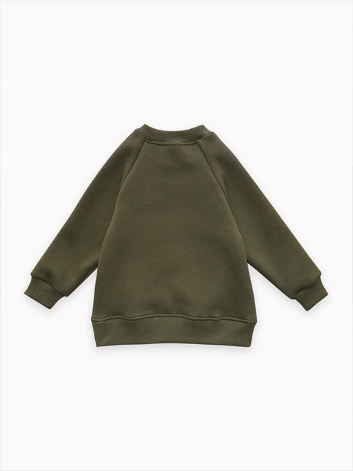 Толстовка футер начёс "Стейн" 30104