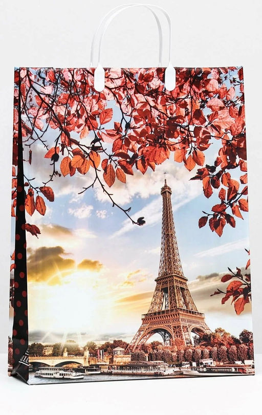 9933 Сумка пластик. BAL 146 (32*42*10см) большая, Эйфелева башня осенью *20