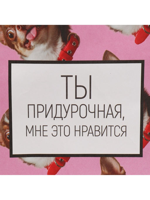 Цена за 2 шт. Пакет подарочный, упаковка, Киса, 22?22?11 см