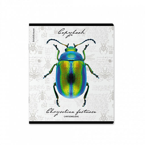 Цена за 5 шт. Тетрадь общая ученическая ErichKrause Жуки, 48 листов, клетка, мат. лам.+выборочный УФ-лак+тиснение фольгой+конгрев, доп.лист_MIX-PACK фото 3