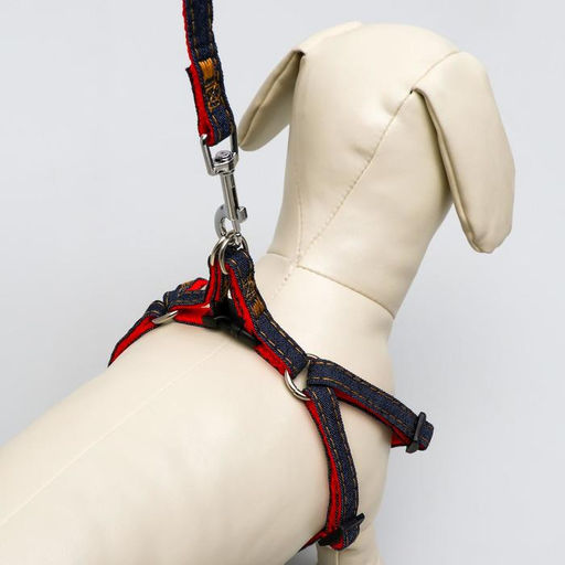 Комплект Джинс, поводок 120 х 1 см, ОГ 25-40 см, красный - Пижон фото 6