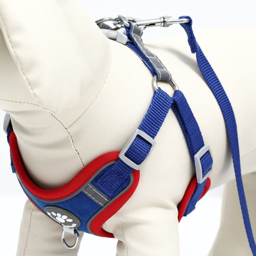 Комплект Sport+, S, поводок 150 x 1,5 см, ОШ 39-41 см, ОГ 44-48 см, вес животного 7-13 кг, синий 96 - Пижон фото 6