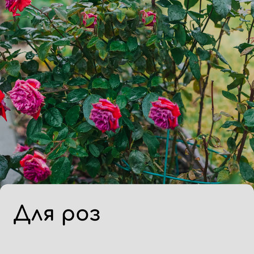 Чехол для растений, с петлями, 100×100 см, спанбонд с УФ-стабилизатором, плотность 60 г/м²