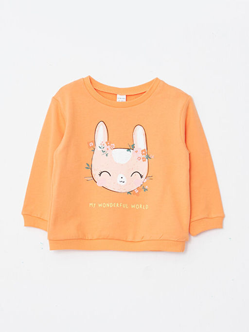 Bisiklet Yaka Uzun Kollu Bask?l? K?z Bebek Sweatshirt 2li - Waikiki фото 3