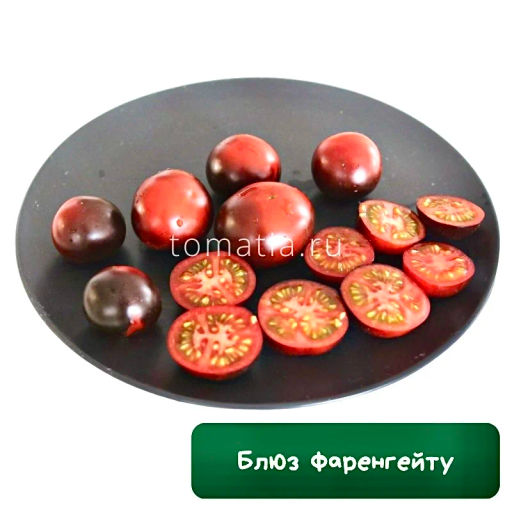 Блюз Фаренгейту