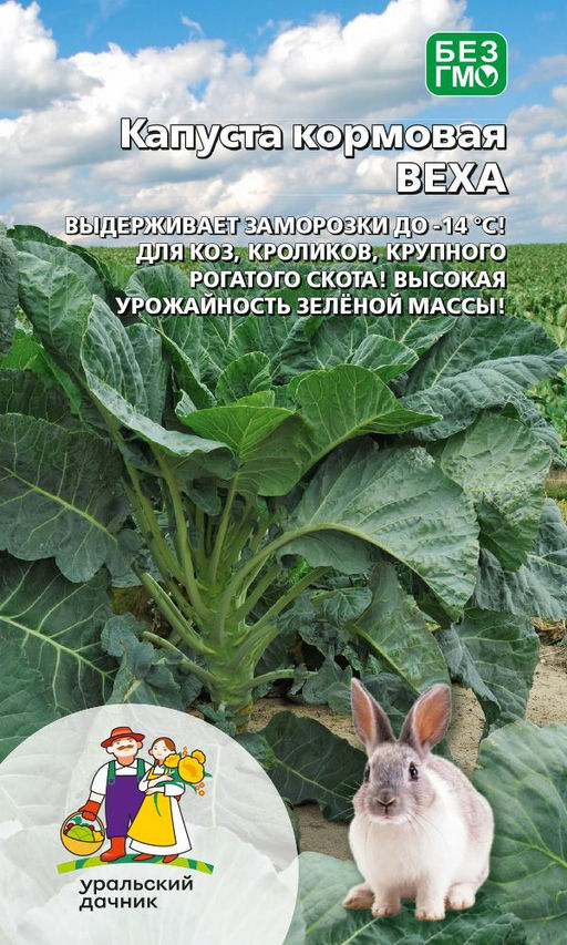 Капуста кормовая ВЕХА Выдерживает заморозки до -14 C! Для коз, кроликов, крупного рогатого скота! Высокая урожайность зелёной массы!