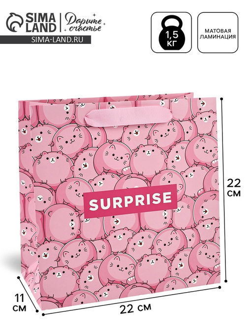 Цена за 2 шт. Пакет подарочный ламинированный квадратный, упаковка, Surprise, 22?22?11 см