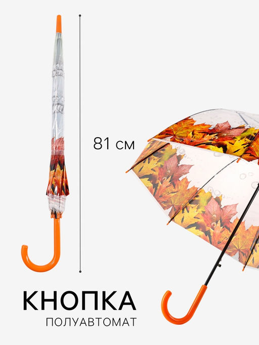 Зонт - трость полуавтоматический Времена года, 8 спиц, R=40/60 см, d=80 см, МИКС