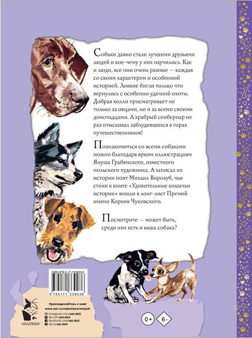 Удивительные собачьи истории