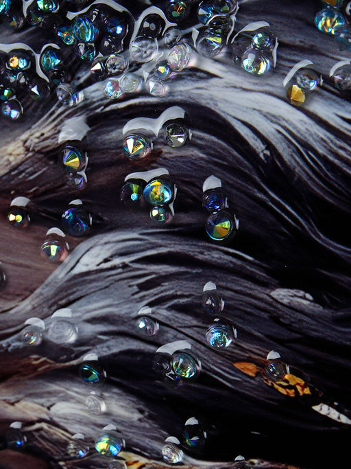 Картина 50х70 Лошадь / DA-0769 /уп 18/стразы - Галеонтрейд фото 6