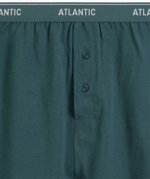 ATLANTIC RMX-001 Трусы боксеры - 1 шт. в упак. зеленый  фото 4