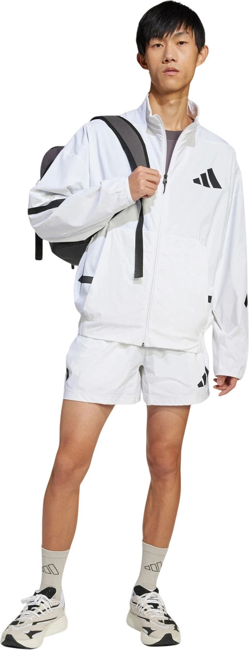 Ветровка мужская