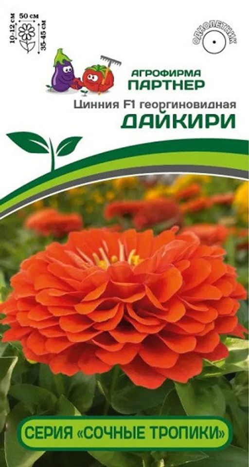 3371P Цинния F1 ДАЙКИРИ / георгиновидная 4шт