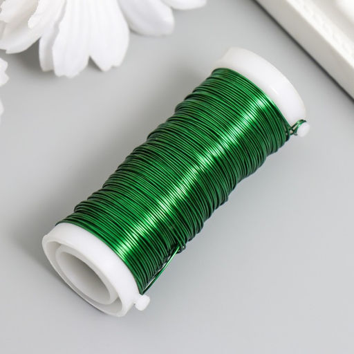 Проволока для творчества «Зелёный», 30 м, толщина 0.3 мм, 5.5×2.2×2.2 см