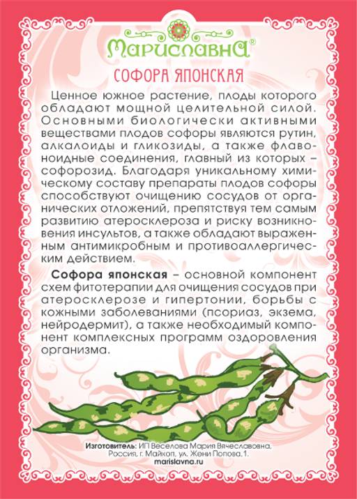 2 шт. Софора японская (плоды) - Мариславна фото 4