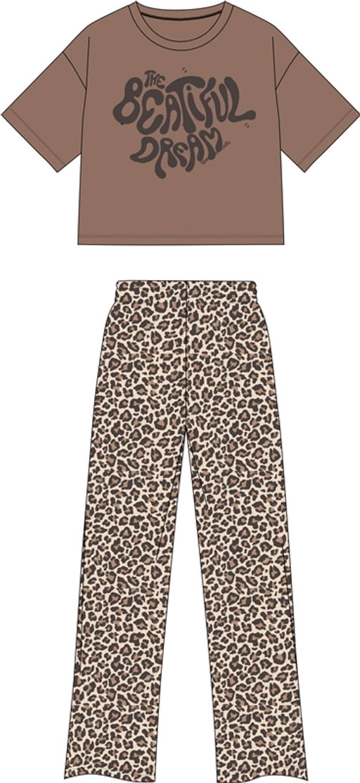 футболка+брюки 2ДФБ5825001н