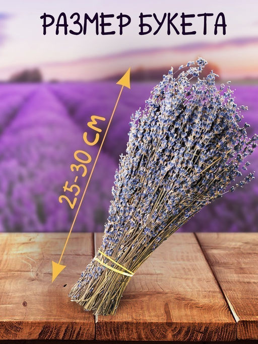 Букет лаванды крымской Синева - Травы горного крыма фото 6