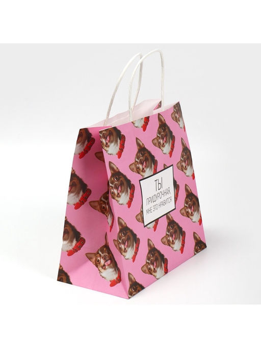 Цена за 2 шт. Пакет подарочный, упаковка, Киса, 22?22?11 см