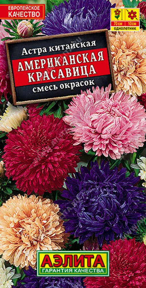 6068U Астра Американская красавица, смесь сортов 0,2гр